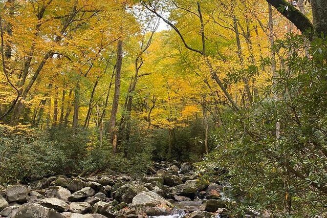 Mountaineer's way hike in the smokies an in depth look at what you can expect