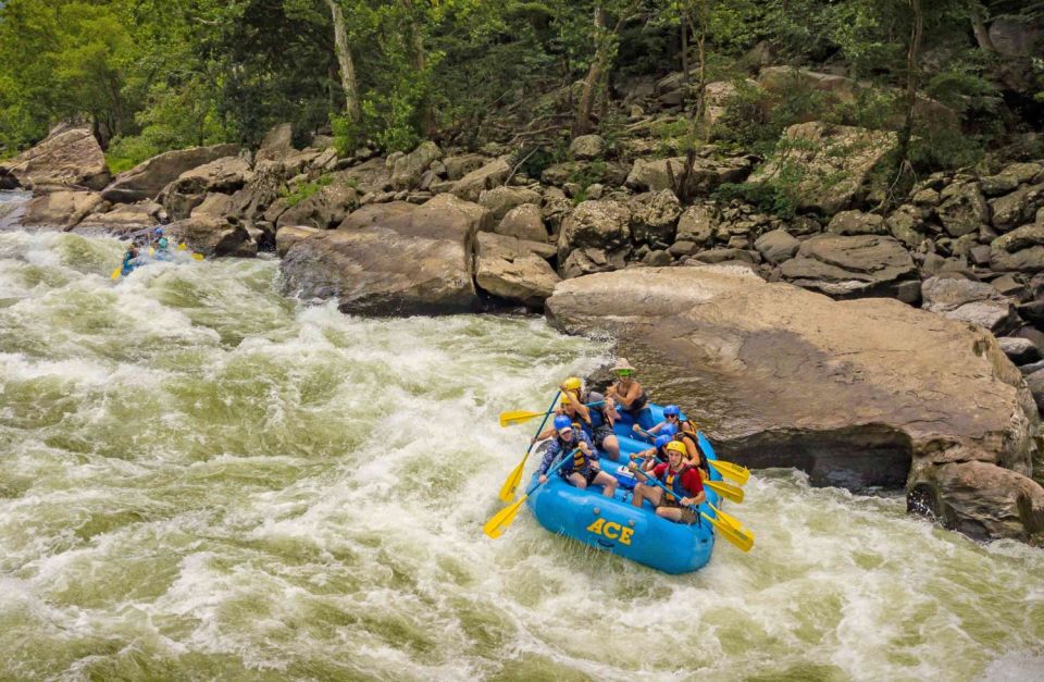 New river gorge whitewater rafting lower new half day the guides: unsung heroes