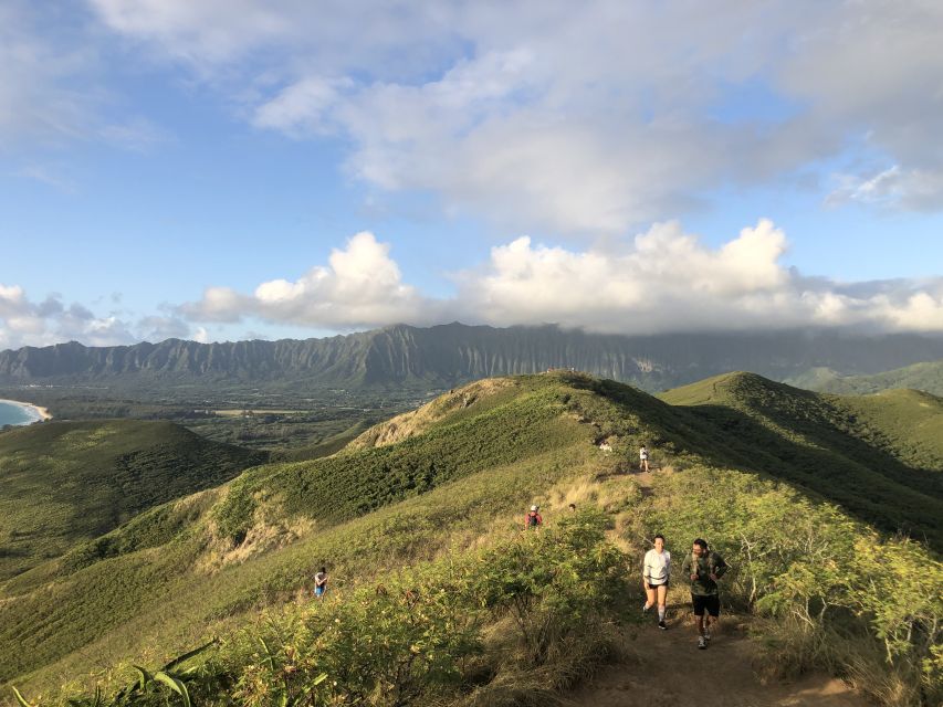 Oahu: manoa falls hike and east side beach day why this tour is a smart choice