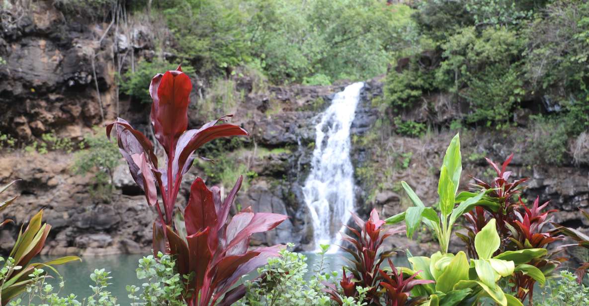 Oahu: valley of waimea falls swim & hike with lunch & dole a closer look at the day