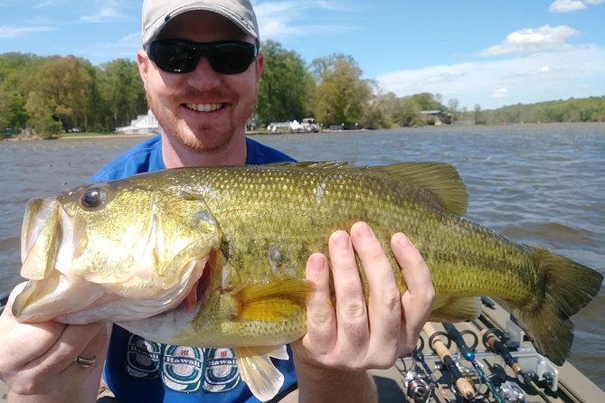 Osprey fishing charters: potomac river fishing the meeting point and logistics