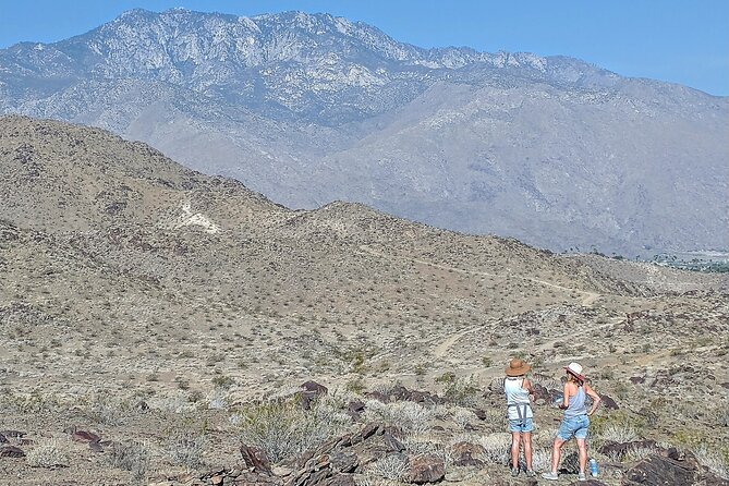 Palm springs hike to an oasis and amazing desert views what the guides bring to the table