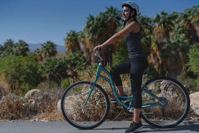 Palm springs indian canyons bike and hike a deep dive into the experience