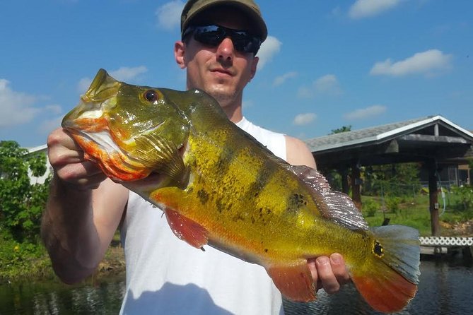 Peacock bass fishing trip in boynton beach an honest look at the experience