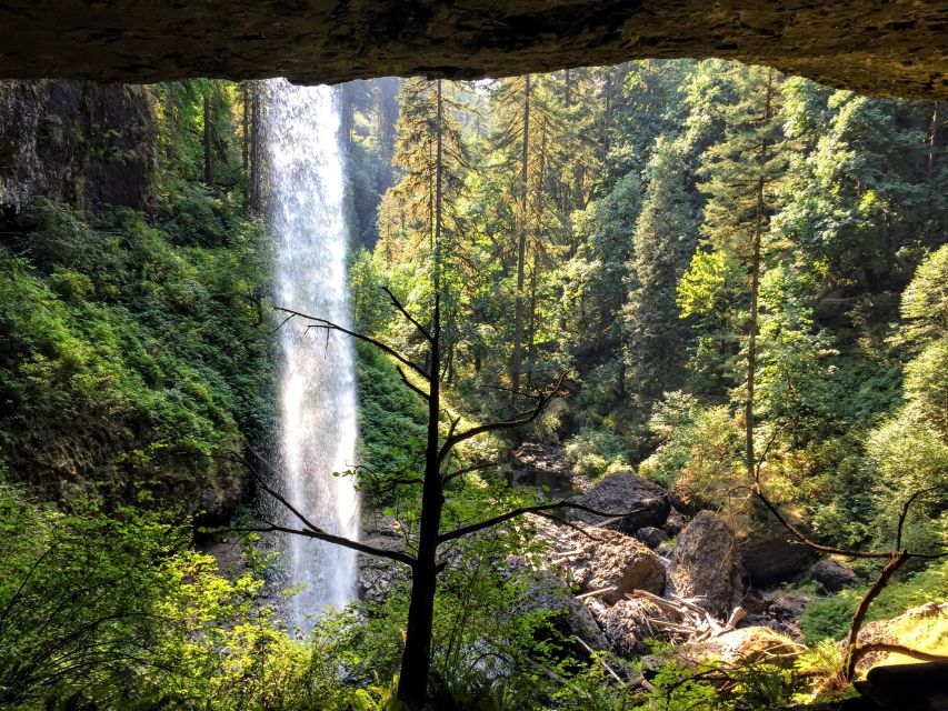 Portland: silver falls hike highlights of the silver falls hike tour