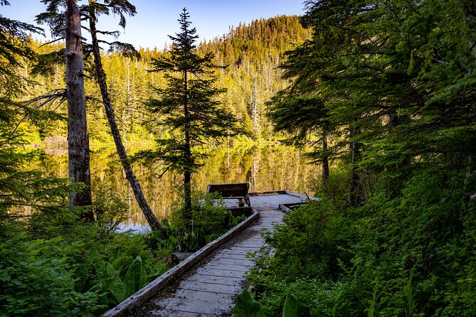 Private Ketchikan Mountain Lake Extended Trek to Alpine Overlook - The Ascent: Into the Old-Growth Forest