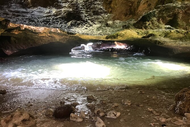 Private mermaid caves and west oahu with kaena point hike (se habla español) the detailed itinerary: a closer look