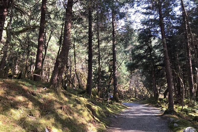 Rainforest & Waterfalls Trek - Highlights of the Rainforest & Waterfalls Trek