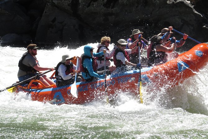 Riggins idaho 1 day rafting trip on the salmon river why it’s a good value