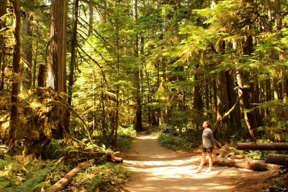 Seattle: olympic national park small group tour a comprehensive look at the tour itself