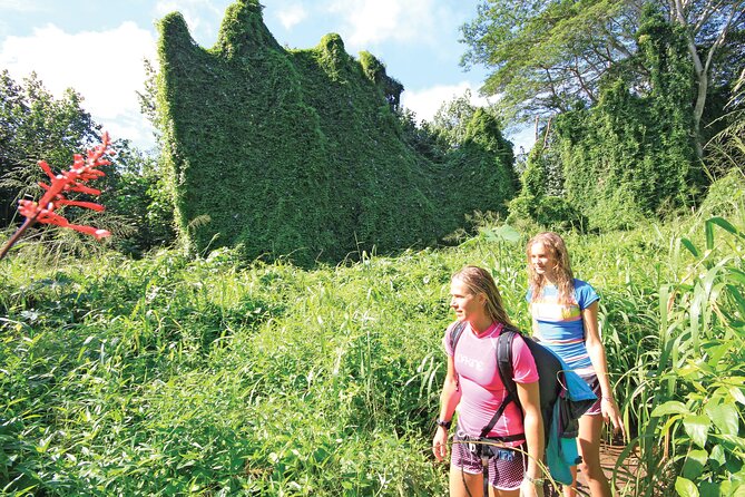 Secret falls kayak and hike in kauai the kayaking segment: 4 miles of scenic paddling