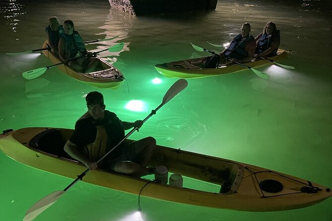 Sharkey's glass bottom fish feeding led night tour in clearwater the value for money and overall quality