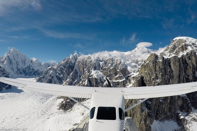 Small group flight denali national park tour with guided hike an in depth look at the experience