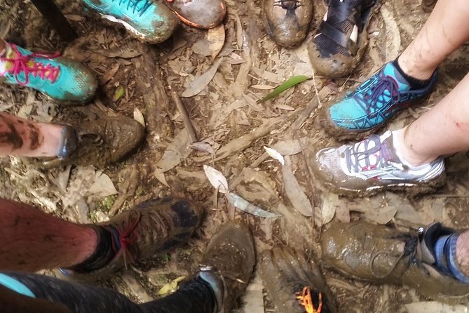 Small group waterfall and rainforest hiking adventure on maui the journey there – hana highway