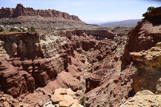 Spectacular 8 hour guided llama hike with lunch and dinner starting out: what to expect in the early morning