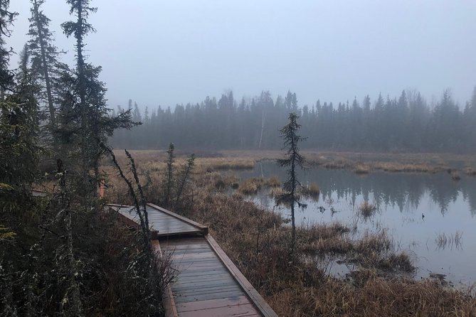 Summer valley and forest hike what makes this tour stand out?