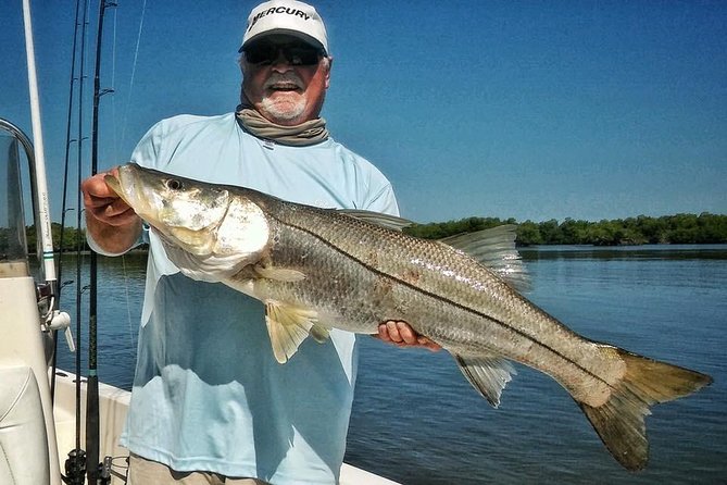 Tampa bay inshore fishing charters the experience in depth: navigating tampa bays waters