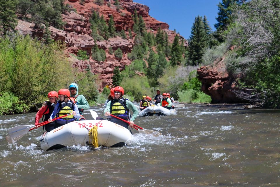 Telluride 1 day rafting trip with lunch san miguel river journey through the san miguel: what to expect
