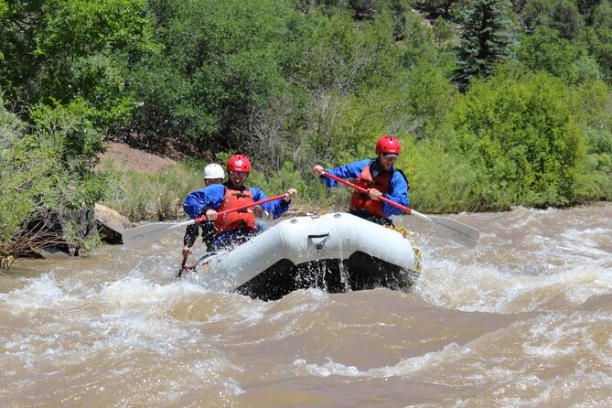 Telluride afternoon half day rafting trip san miguel river what to expect: the itinerary and experience