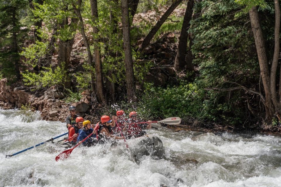 Telluride morning half day rafting trip san miguel river the scenic setting