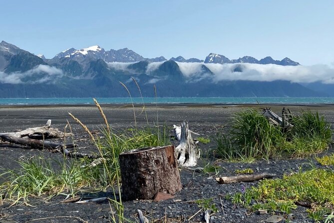 Tonsina beach hike with seward guided hikes an in depth look at the experience