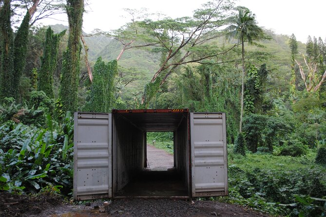 Waikiki Electric Bike Self Guided Tour- Manoa Falls Bike and Hike - Who Will Benefit Most?
