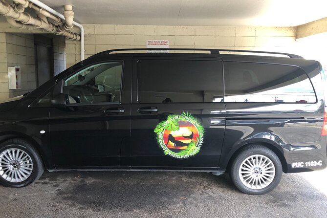 Waterfall hike , sightseeing & east side beach day why this tour connects well with travelers