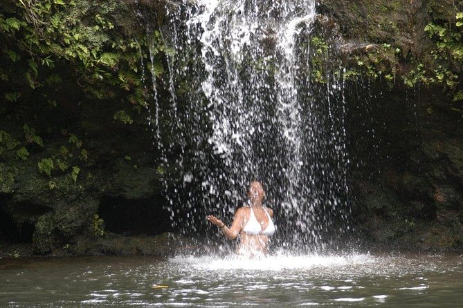 Waterfall & rainforest hiking adventure with hotel pickup an in depth look at the tour itinerary