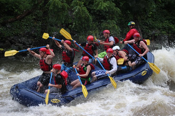 White Water Rafting Experience on the Upper Pigeon River - White Water Rafting Experience on the Upper Pigeon River: A Journey Worth Taking