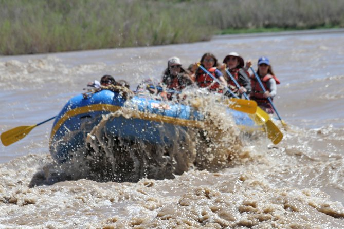 Whitewater rafting on the colorado river what to expect: a day on the colorado