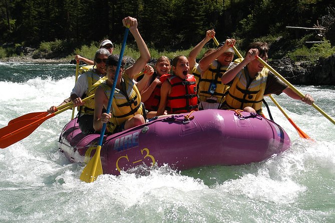 Whitewater Rafting Small Boat Adventure Snake River Jackson Hole - Who is This Tour Best For?