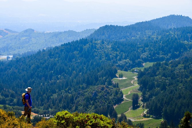 Wine & Wellness Tour in Napa Valley - A Few Drawbacks to Consider