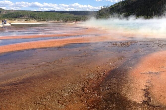 Yellowstone for kids family fun tour w/pu in west yellowstone analyzing the full day itinerary