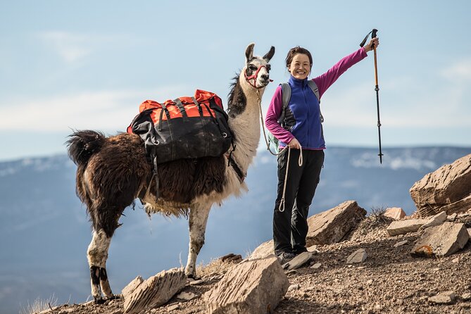 2-Hour Llama Hike - Highlights of the 2-Hour Llama Hike