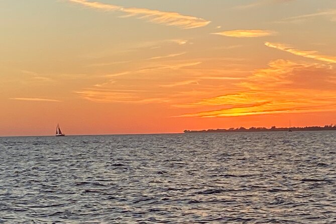 2 HR Dolphin Tour for 7 people - Setting Out on a Private Water Adventure