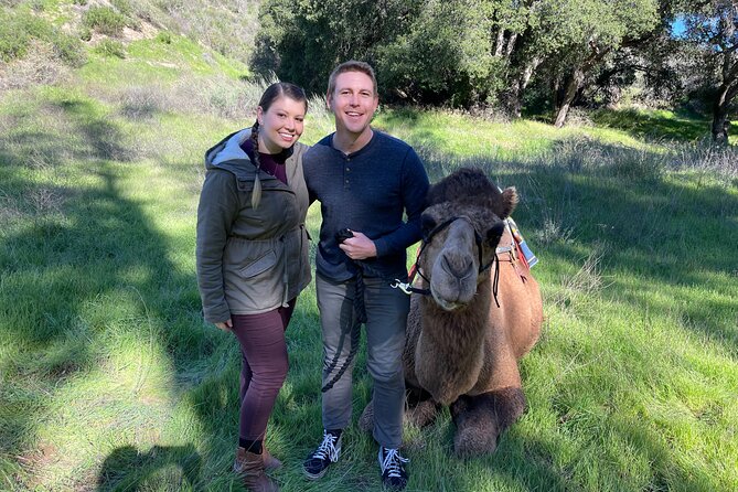 3 Hour Camel Trek into the Forest and Ranch in California - Campfire & Smores - The Cozy End