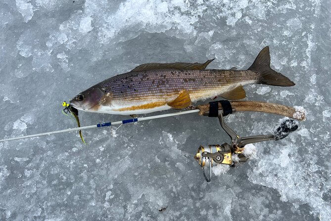 3 Hour Ice Fishing Experience - experiences and reviews: insights from past adventurers