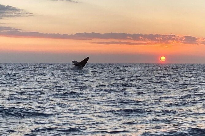 4 Hour Private Sunset Fishing Charter - Final Thoughts: Is It Worth It?