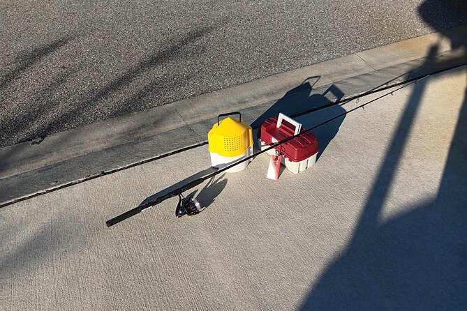 4 Hours Fishing Kayak Rentals - Who Will Love This Tour?