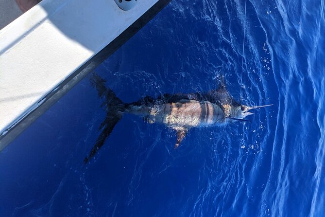 5 Hours Private Fishing Charter in Kailua-Kona - Final Thoughts: Is This the Right Choice?