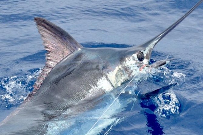 6 Hour Fishing Charter - Why Consider the Value?