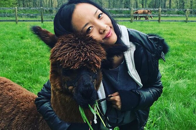 Alpaca and Llama Trek in Pleasant Valley - Why This Experience Shines