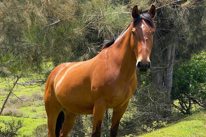 ATV Ranch ride Big Island Hawaii - A Step-by-Step Look at the Tour Itinerary