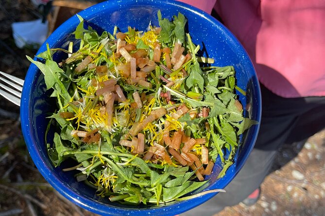 Backcountry Eats & Foraging Treats - Price and Value: Is 9 Worth It?