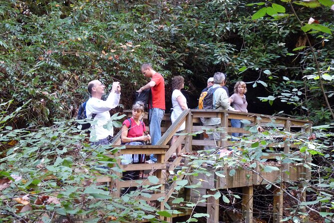 Bartram Trail Hike plus Wine Tasting - A Final Word on the Experience