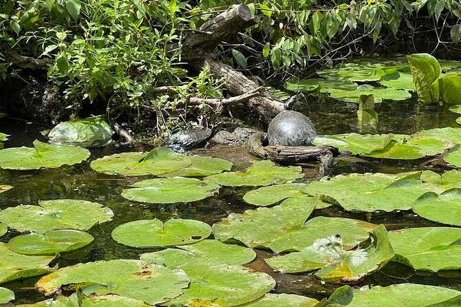 Buckhorn State Park nature hike, kayaking tour, and fishing - The Sum Up: Who Will Love This Tour?