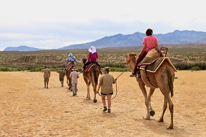 Camel Safari - Camel Ride and Zoo Tour - Practical Details That Help You Prepare