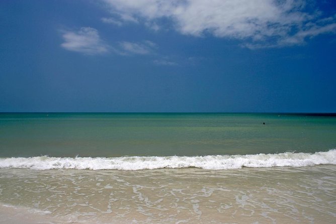 Clearwater Inshore Fishing Charter - The Value Proposition: Is It Worth It?