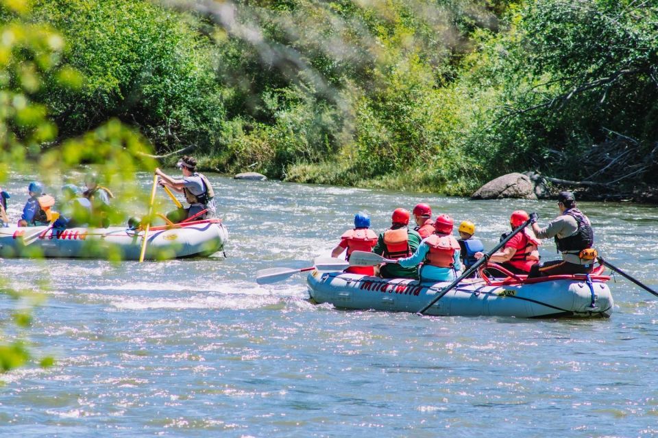 Durango 3/4 Day Rafting Trip with Lunch - Lower Animas River - Why This Trip Is Valuable