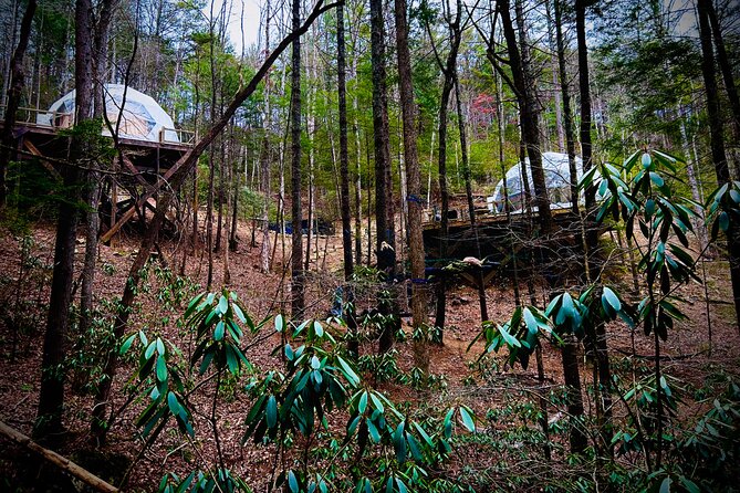 Elijay Hike w/ Waterfall & Wine Tasting Private Tour from ATL - Charms of Blue Ridge and Practicalities